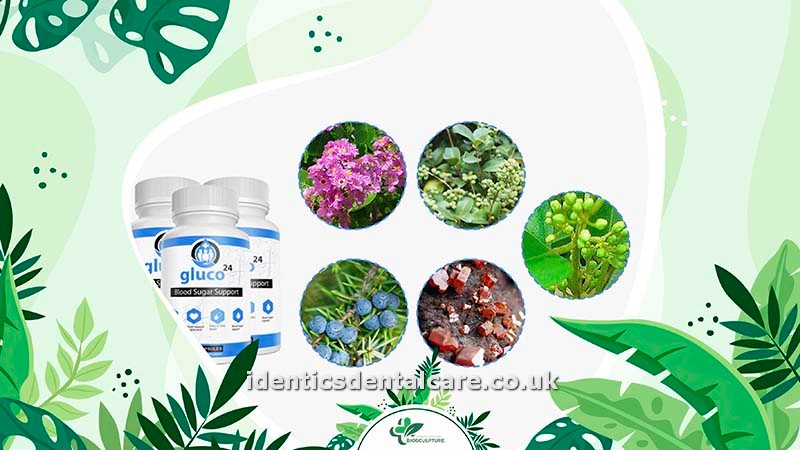 Gluco24 Ingredients